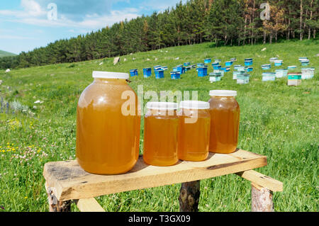 A lot of hives are standing in the middle of a green lawn near the forest. Production of environmentally friendly mountain honey. Honey is sold near t Stock Photo