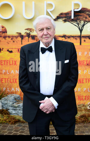 Sir David Attenborough attending the global premiere of Netflix's Our Planet, held at the Natural History Museum, London. Stock Photo