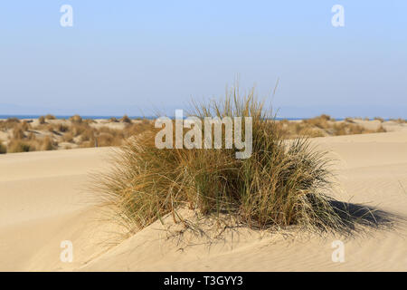 Beach Espiguette in Languedoc Roussillon, France Stock Photo