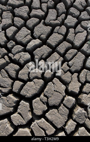 Abstract pattern of dry cracked clay mud in dried up lake bed / riverbed caused by prolonged drought in summer in hot weather temperatures Stock Photo