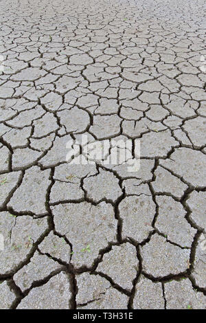 Abstract pattern of dry cracked clay mud in dried up lake bed / riverbed caused by prolonged drought in summer in hot weather temperatures Stock Photo