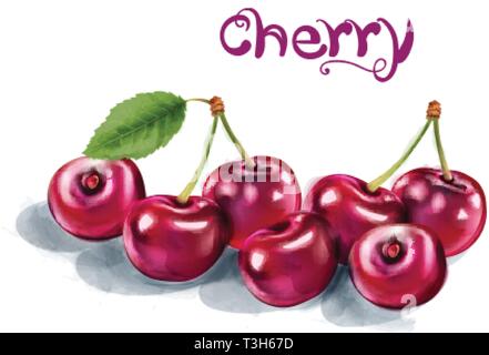 Cherry Vector watercolor. Fresh juicy aromatic fruits isolated on white Stock Vector