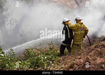 Sierra Leoneans in emergency response team training in fire fighting  make fire breaks between local woodland and community using hoses from tenders Stock Photo