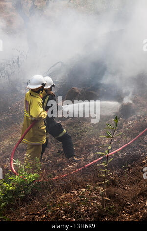 Sierra Leoneans in emergency response team training in fire fighting  make fire breaks between local woodland and community using hoses from tenders Stock Photo