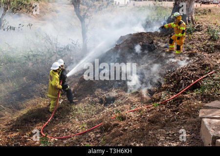 Sierra Leoneans in emergency response team training in fire fighting  make fire breaks between local woodland and community using hoses from tenders Stock Photo