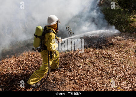 Sierra Leoneans in emergency response team training in fire fighting  make fire breaks between local woodland and community using hoses from tenders Stock Photo