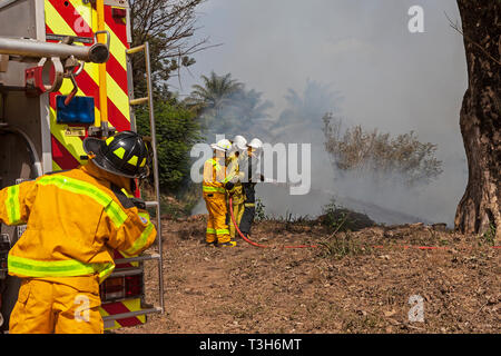 Sierra Leoneans in emergency response team training in fire fighting  make fire breaks between local woodland and community using hoses from tenders Stock Photo