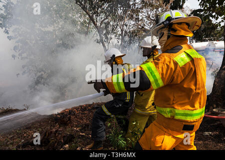 Sierra Leoneans in emergency response team training in fire fighting  make fire breaks between local woodland and community using hoses from tenders Stock Photo