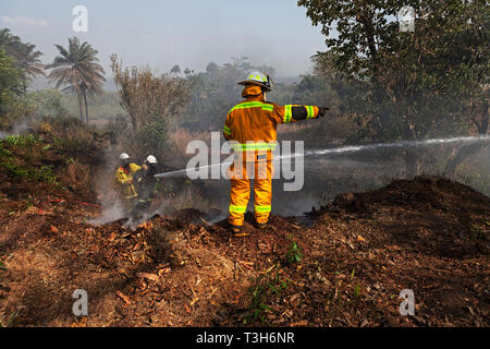 Sierra Leoneans in emergency response team training in fire fighting  make fire breaks between local woodland and community using hoses from tenders Stock Photo