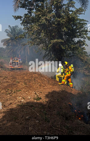 Sierra Leoneans in emergency response team training in fire fighting  make fire breaks between local woodland and community using hoses from tenders Stock Photo