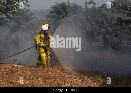 Sierra Leoneans in emergency response team training in fire fighting  make fire breaks between local woodland and community using hoses from tenders Stock Photo
