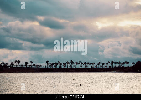 Dark Silhouettes Of Palm Trees Sea And Amazing Cloudy Sky At Sunset Distant View Minimalist Landscape Wallpaper Background Stock Photo Alamy