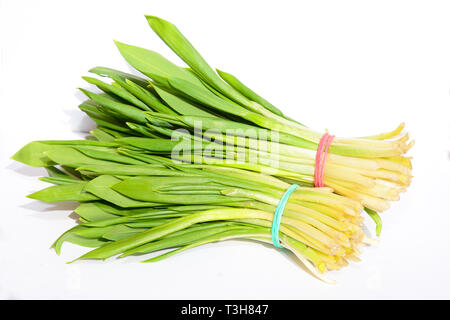 Allium ursinum – known as ramsons, buckrams, wild garlic, broad-leaved garlic, wood garlic, bear leek, or bear's garlic isolated on white Stock Photo