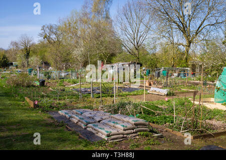 Allotments at Hinksey, Oxford Stock Photo