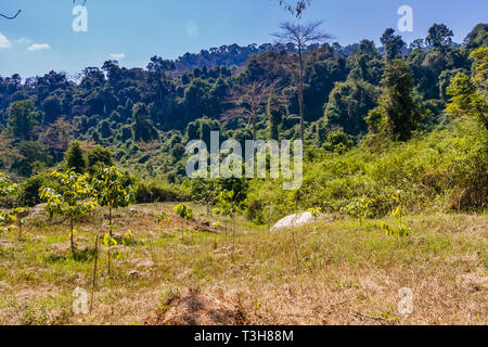 A scenic view from the Kulen Hills, Siem Reap, Cambodia Stock Photo