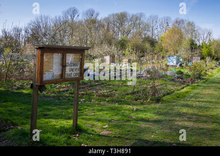 Allotments at Hinksey, Oxford Stock Photo