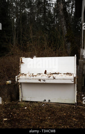 Old vintage white piano in a forest Stock Photo