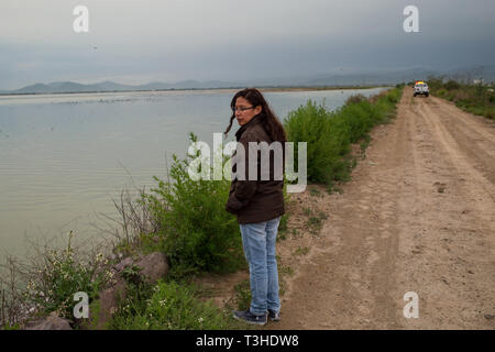 A person looks over Lake Texcoco, in the State of Mexico, Mexico, August 25, 2017. A group of local residents are engaged in a land dispute over land on the shores of Lake Texcoco, (to the right of the photo) which they call ÒTlatelesÓ, or Òmountain of sand.' The Mexican Federal Government wants to use the land as part of the Mexico City International Airport project. The new Mexico City International Airport (NAICM) is being constructed on the far side of Lake. Mexico's newly elected president Andreas Lopez Manuel Obrador cancelled this project in the fall of 2018, while it was in the middle  Stock Photo