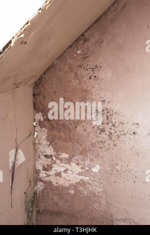 Water damage causing mold growth on the interior walls of a property Stock Photo