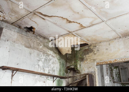 Damaged ceiling from water leak in old abandoned house Stock Photo
