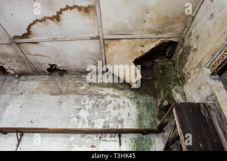 Damaged ceiling from water leak in old abandoned house Stock Photo