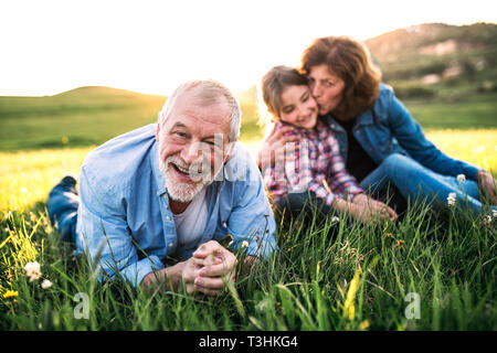 Senior couple with granddaughter outside in spring nature, relaxing on the grass. Stock Photo