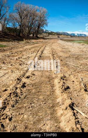 Muddy tire tracks on a ranch dirt road; central Colorado; USA Stock Photo
