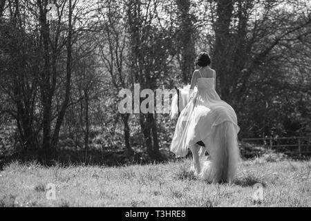 girl in long dress riding her Irish gypsy cob horse in the sunshine in the woods Stock Photo