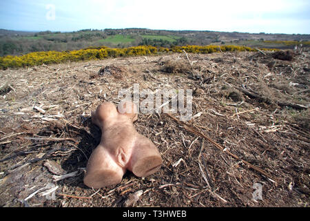 Discarded rubber sex toy in a beauty spot known for 'dogging'. Ashdown  Forest, East Sussex, UK Stock Photo