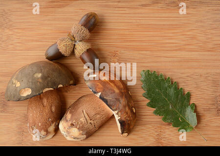 Forest arrangement, Dark cep or Bronze bolete mushroom, or Boletus aereus with green oak leaves and acorns on bamboo wooden background Stock Photo