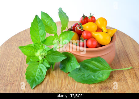 Green fresh aromatic basil and red and yellow cherry tomato in a clay pot on wooden bamboo chopping board over white Stock Photo