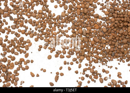 Lot of whole brown clay pebbles (leca) flatlay isolated on white background Stock Photo