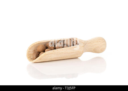 Lot of whole brown clay pebbles (leca) with wooden scoop isolated on white background Stock Photo
