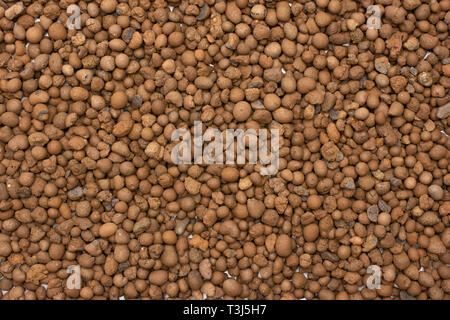 Macro closeup of lot of whole brown clay pebbles (leca) flatlay Stock Photo