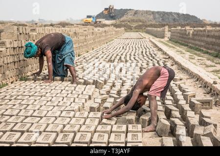 Worker of a brickyard, laying the bricks for drying, Dhaka, Bangladesh, Dhaka, Bangladesh Stock Photo