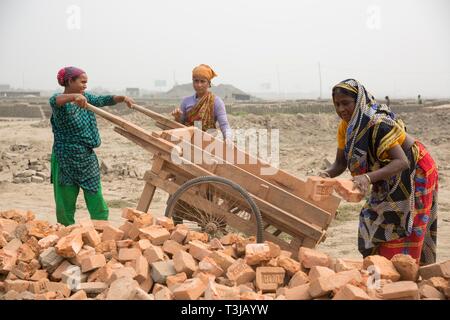 Workers in a brickyard, women loading dried bricks, Dhaka, Bangladesh Stock Photo