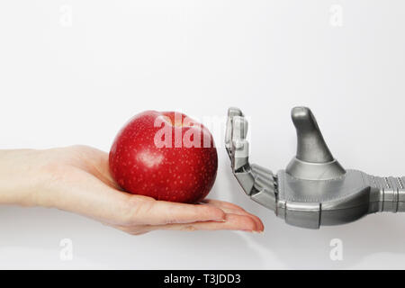 Robot and man. The hand of a real man gives the robot a red apple. Modern technology and robotics. Robots and people nearby. Concept. Stock Photo