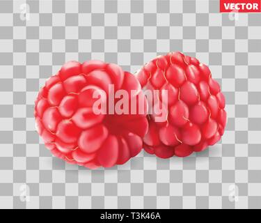 Raspberry. Sweet fruit. 3d vector icon. Realistic illustration Stock Vector