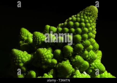 Romanesco (Brassica oleracea), a variation of the cauliflower Stock Photo