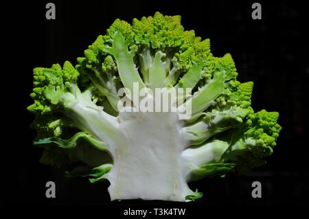 Half Romanesco (Brassica oleracea), a variation of the cauliflower Stock Photo