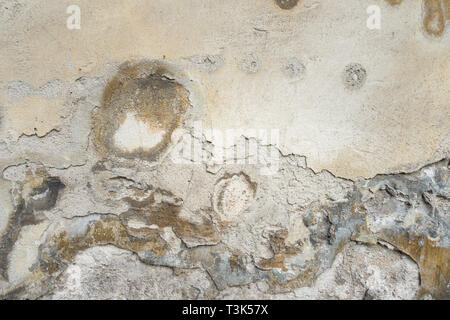 Old Wall With Peel Grey Stucco Texture. Retro Vintage Worn Wall Background. Decayed Cracked Rough Abstract Wall Surface. Stock Photo