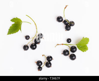 Fresh blueberries, red and black currants, gooseberries, summer berry ornament on a white background Stock Photo