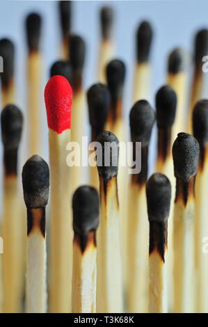 Unused match surrounded by burned matches Stock Photo