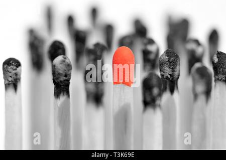 Unused match surrounded by burned matches Stock Photo