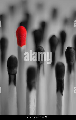 Unused match surrounded by burned matches Stock Photo