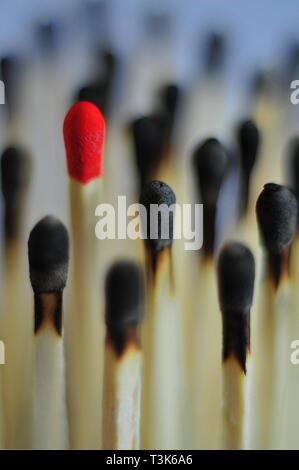 Unused match surrounded by burned matches Stock Photo