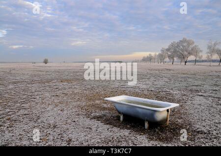 Sheep pasture on the Lechfeld south of Augsburg in winter, bathtub as cattle trough, Swabia, Bavaria, Germany, Europe Stock Photo