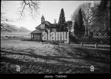 Old lodge and attached wall, Hamsterley Hall, County Durham, c1955-c1980. Creator: Ursula Clark. Stock Photo