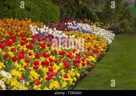 Beautiful colourful spring flower bed with grass to side for text Stock Photo