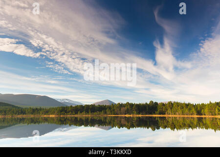 Loch Morlich and Cairngorm Mountains, Cairngorms National Park near Aviemore, Badenoch and Strathspey, Scotland, UK Stock Photo
